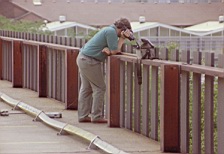 ken-videocamera-rooftop-edge.jpg